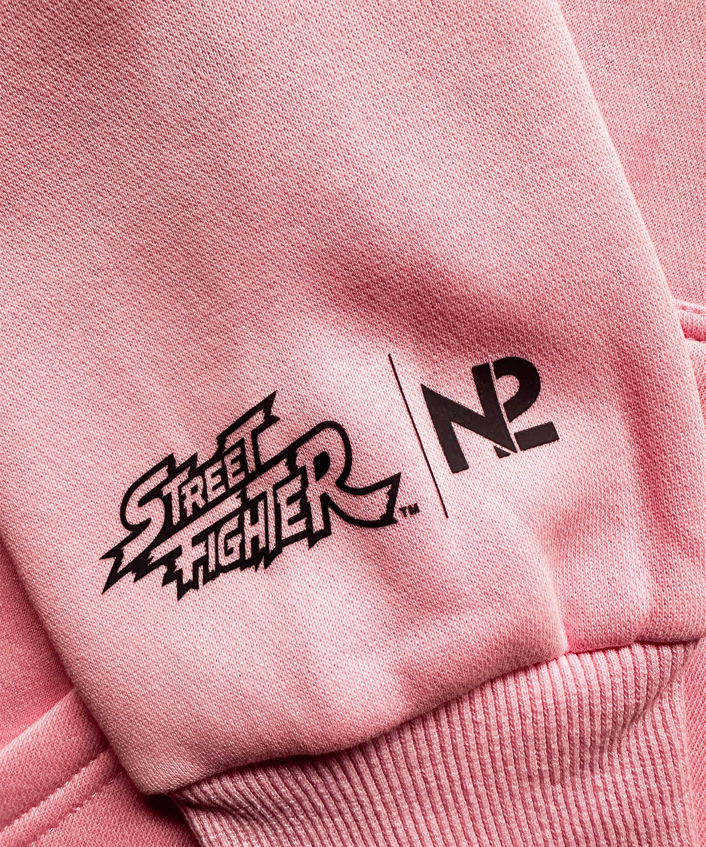 【N2 X STREET FIGHTER VOL. 1】Dan Hoodie