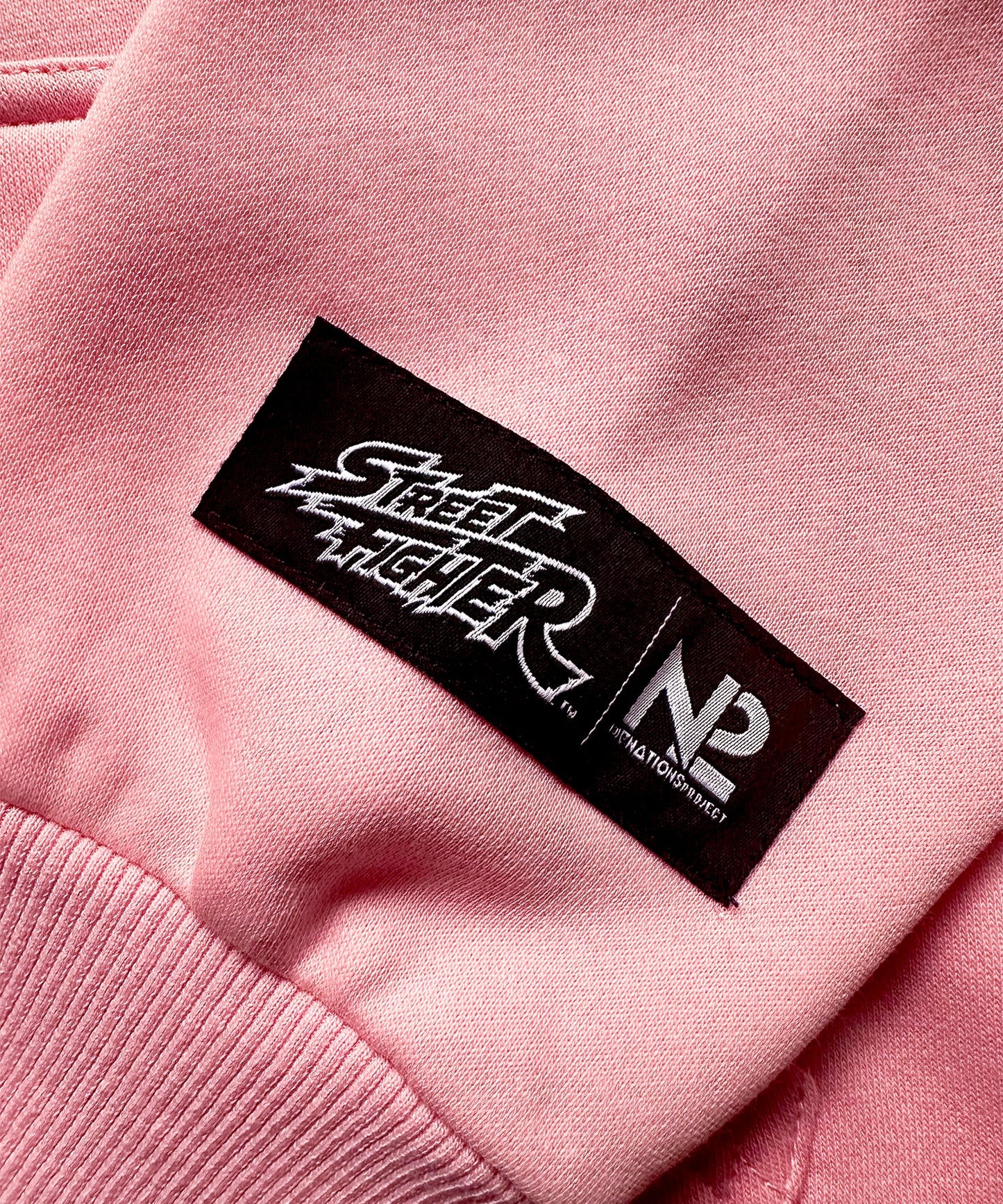 【N2 X STREET FIGHTER VOL. 1】Dan Hoodie