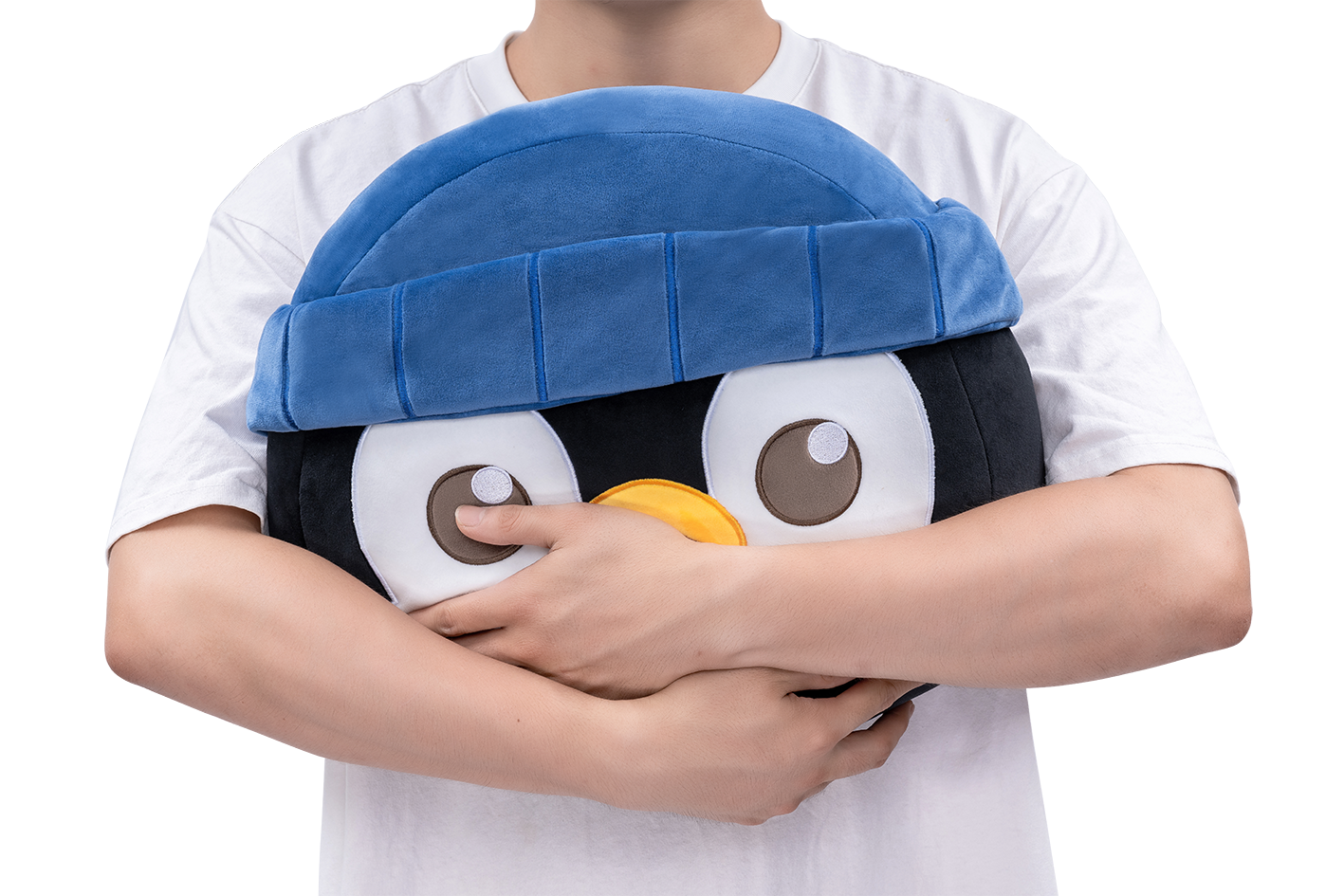 VALORANT ペンギンのダン ぬいぐるみ VCT Pacific ペンギンのダン